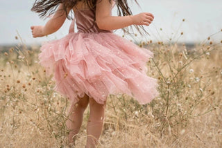 Macy Ballerina Dress - Charlie Rae - 2-3T - Baby & Toddler Dresses - Miss Rose Sister Violet