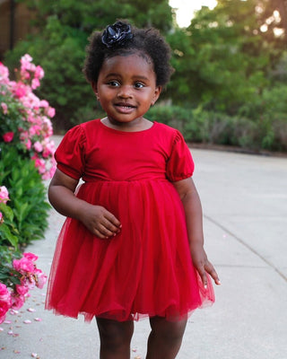 Mikayla Puff Sleeve Tutu Dress - Wine - Charlie Rae - 0-3 Months - Baby & Toddler Dresses - Bailey's Blossoms
